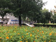 -北京邮电大学