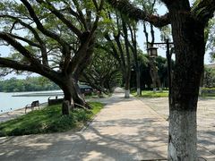 -江心屿景区
