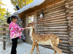 -HERRE·FARM 赫尔露营农场·团建聚会包场