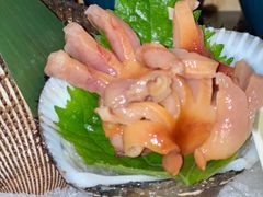鲜活赤贝-夫子道刺身