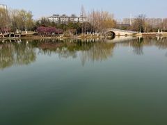 -桃花岛公园