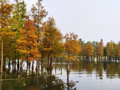 -白鹭湾湿地公园