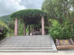 -清溪森林公园