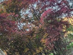 -九鼎铁刹山风景区