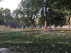 -天鹅湖体育公园