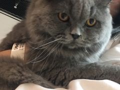 -猫和宫(六道口店)