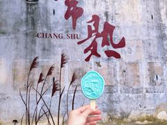 -沙家浜风景区