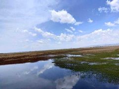 -花湖生态旅游区