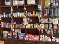 -宠爱国际动物医院· 猫科· 外科·中兽医(长白店)