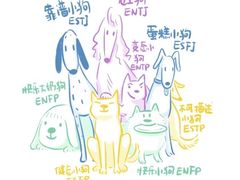 -万达广场(南昌红谷滩店)