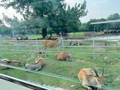 -西安秦岭野生动物园