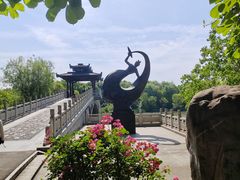 -东湖落雁景区