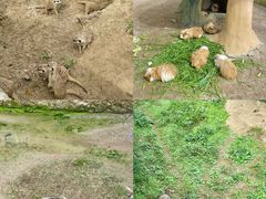 -宁波野生动物园