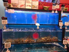 -盒马鲜生(宝地店)