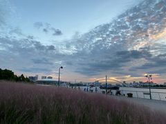 -上海山野camping·户外天幕烧烤·团建拓展营地