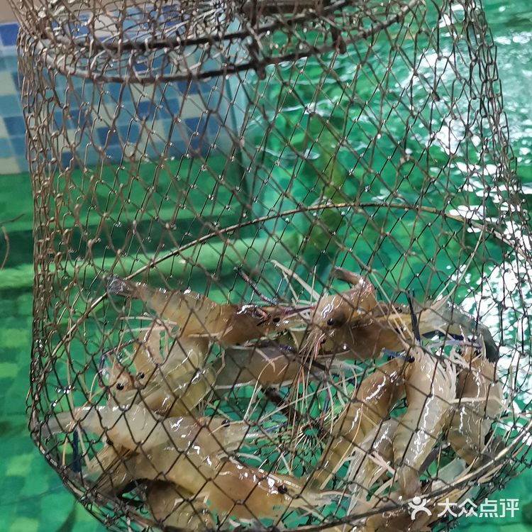 正巨虾·室内钓虾馆（大华虎城店）