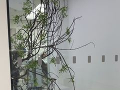 -极简口腔(总院)