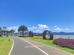 -野狸岛