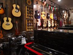-五度乐器培训(清扬路店)