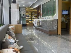 -pd派德宠物中心医院24H急重症·眼科中心·血液透析中心(嵩山北路店)