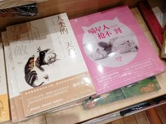 -猫的天空之城概念书店(印象城购物中心店)