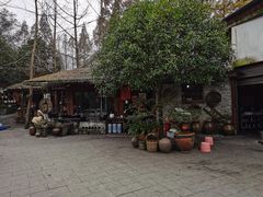 -青城甲(青城山店)