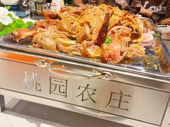 -桃园农庄烤全羊(江秋路店)