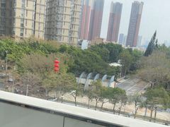 -百年果林椰子鸡(中洲店)