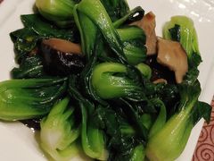 香菇菜心-东方明珠老上海8号餐厅(东方明珠广播电视塔店)
