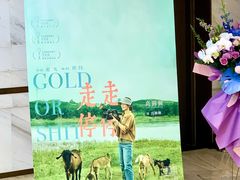 -英皇电影城(英皇集团中心IMAX店)