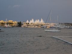 -黄金海岸