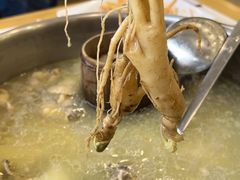 -朴小妹人参鸡汤火锅(长白山万达店)