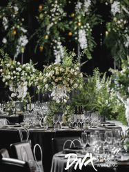 -DNA Wedding 婚礼记(上海店)