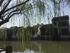 -尚贤河湿地