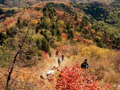 -北京西山国家森林公园