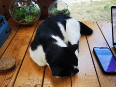 -北马山庄植趣咖啡