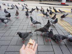 -尖沙咀钟楼