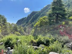 -苍山感通索道