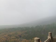-灵谷景区
