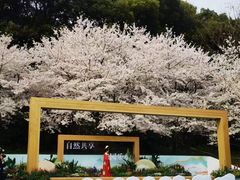 -苏州上方山国家森林公园
