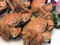 -快活林食家