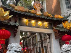 -越秀西湖花市(广州城市广场花卉店)