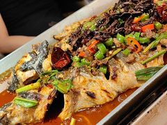 -鱼酷活鱼烤鱼(静安大融城店)
