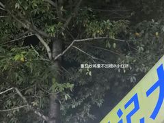 -黎记大排档(慈云路店)