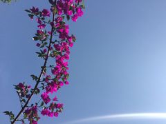 邛海湿地公园-西昌邛海湿地