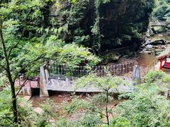 -碧峰峡风景区