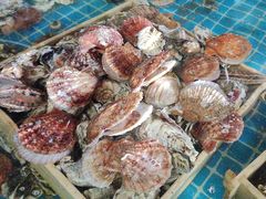 -和源祥·日照菜扛把子(万平口一店)