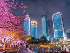 -西北湖绿化广场