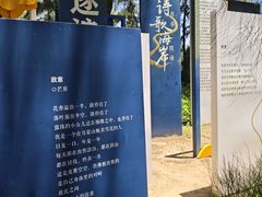 -大京沙滩