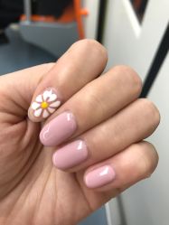 -Lab Season惜辰颜究社